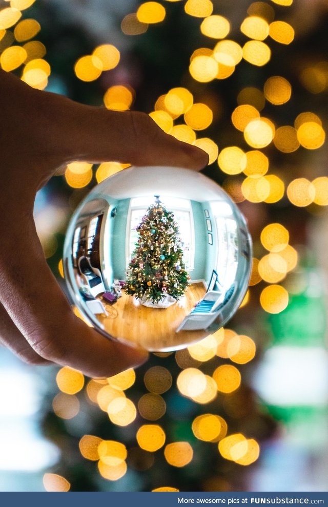 Snagged a photo of our Christmas tree with a clear ball