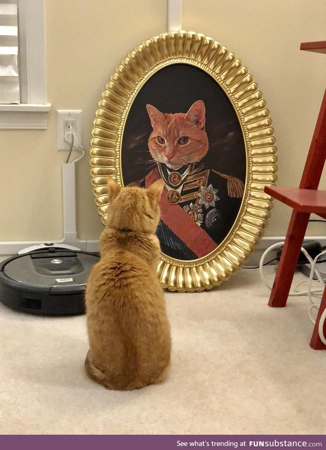 Wife asked if we could hang a picture of the cat in the hallway. Photoshop to the rescue!