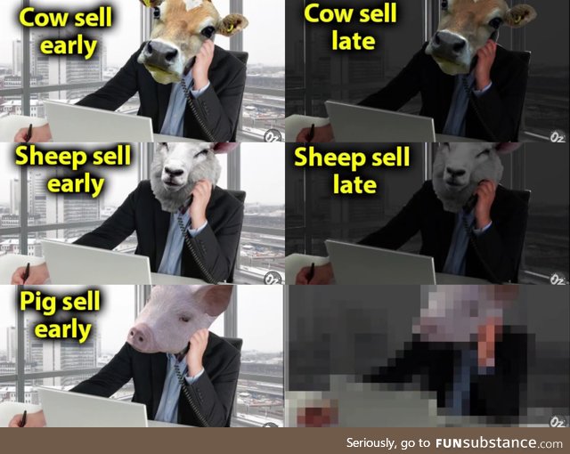 Pigs sell late