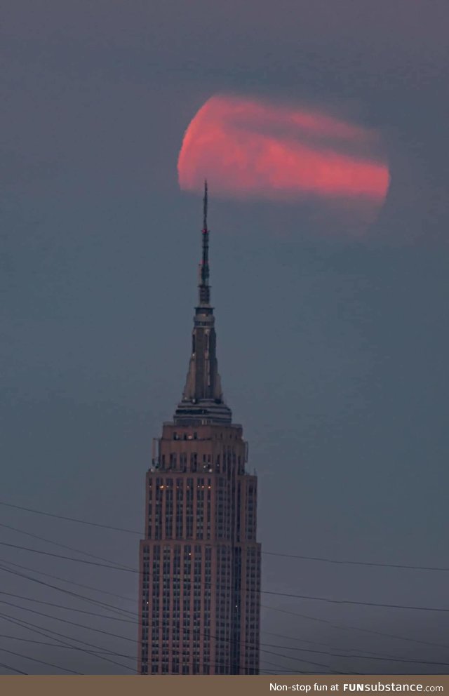 The pink Supermoon last nightover the Empire State Building during golden hour