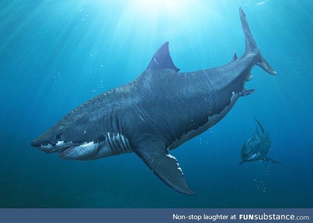 Fishy Fun Day #56: Megalodon @SuperDave