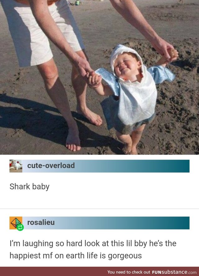 Shark Baby (WholesomeSubstance)