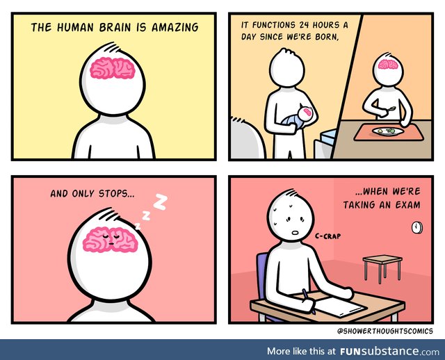 [OC] The human brain