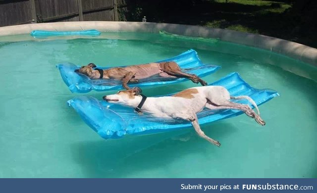 A couple of retired athletes relaxing in the pool