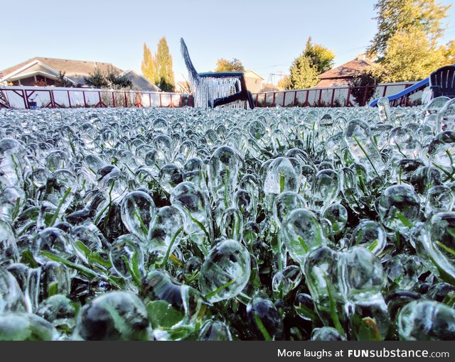 We left the sprinklers on to keep the pipes from breaking during an early season freeze