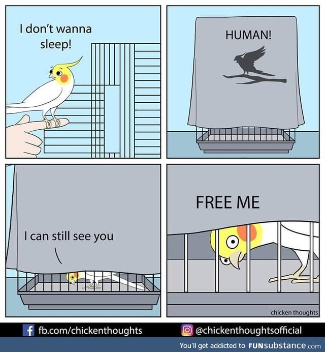 Stop putting the birbs in cages, is what I've always said