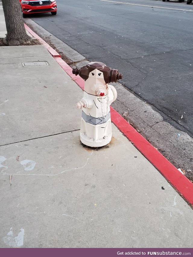 This is not the hydrant you expected today