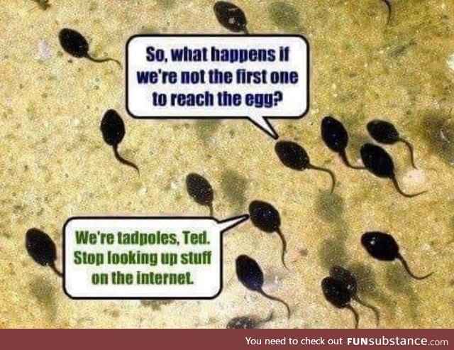 Tadpoles