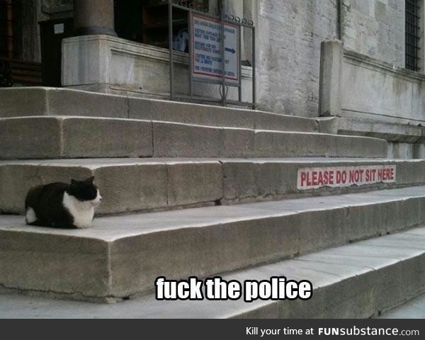 f*ck the police!