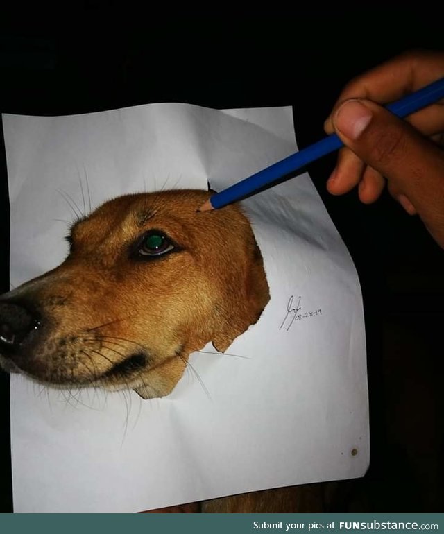 My first time to draw my dog. Please be nice