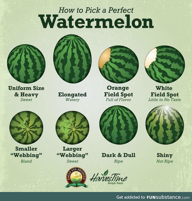 Be more picky with your h20 melons