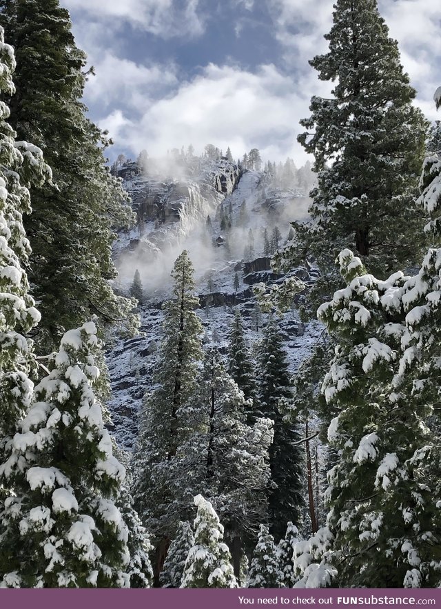 Took this while backpacking up in the sierras!