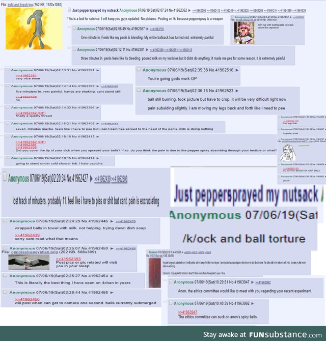 Anon peppersprays his balls on /k/