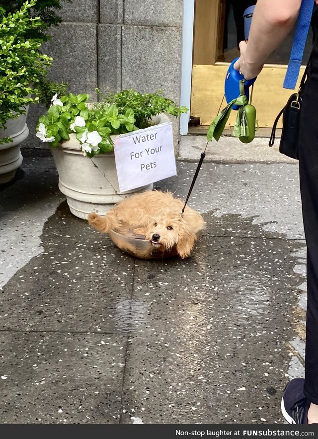 Not what we had in mind, but 10/10 water boy