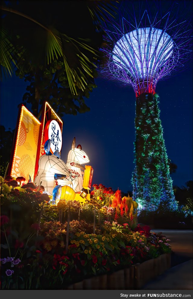 A little late but it was lovely seeing the Chinese New Years decorations in Singapore!