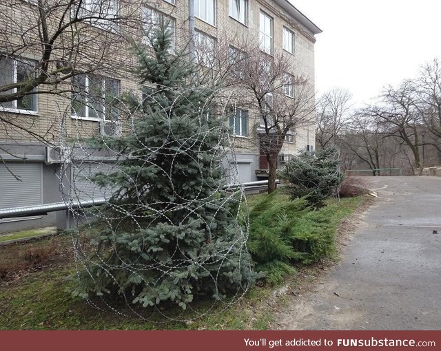 Christmas tree in Russia, Rostov. "Christmas is all around"