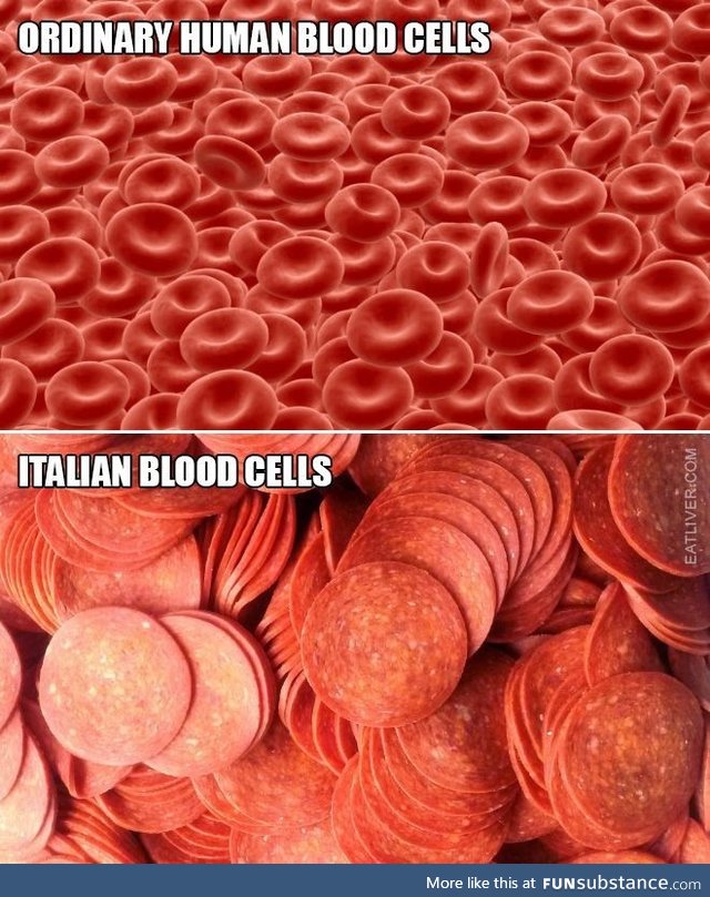 Blood cells