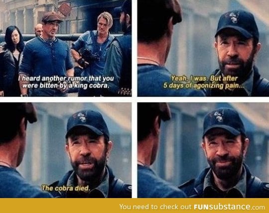 Chuck Norris Makes A Chuck Norris Joke