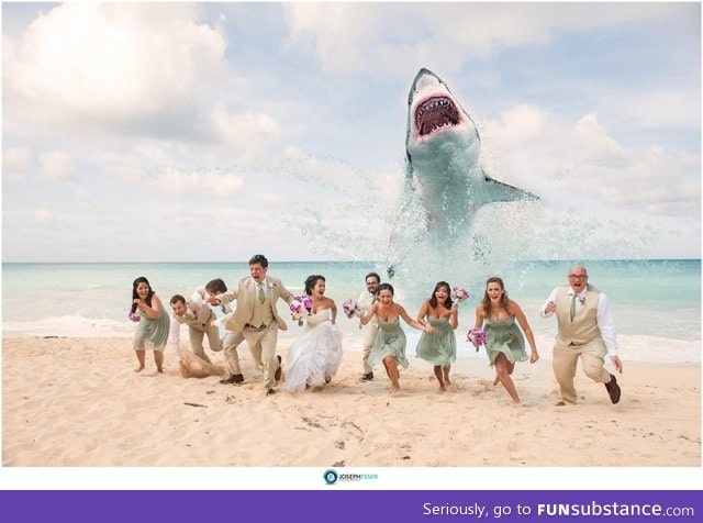 Never get married next to the ocean! Best wedding photo