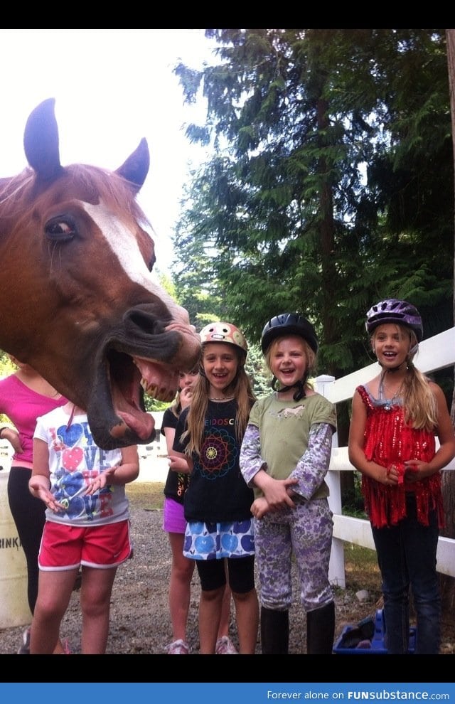 Photobomb level: Horse