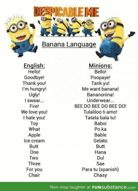 Despicable Me language