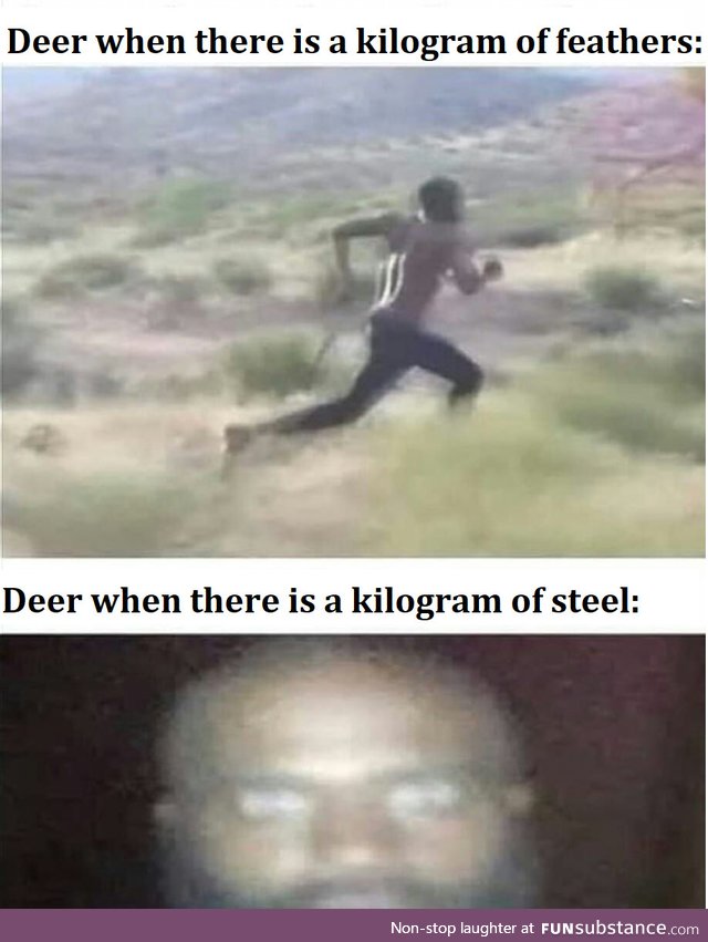 Stoopid deer