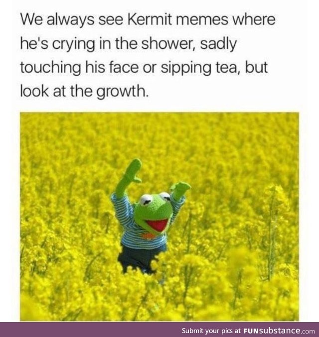 2020 has been good to Kermie