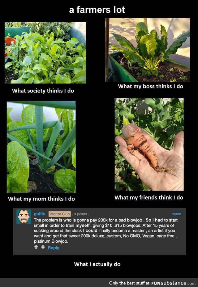 gardening 101