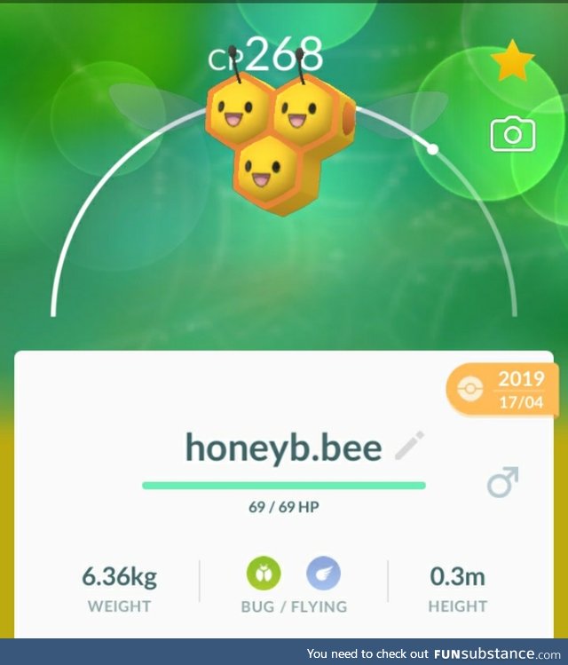 PoGo Project #3 - Bee Not Afraid