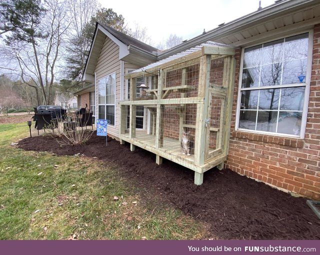 Built a "Catio" this weekend to help our stressed out kitties during the quarantine