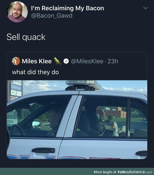 Duck the po po