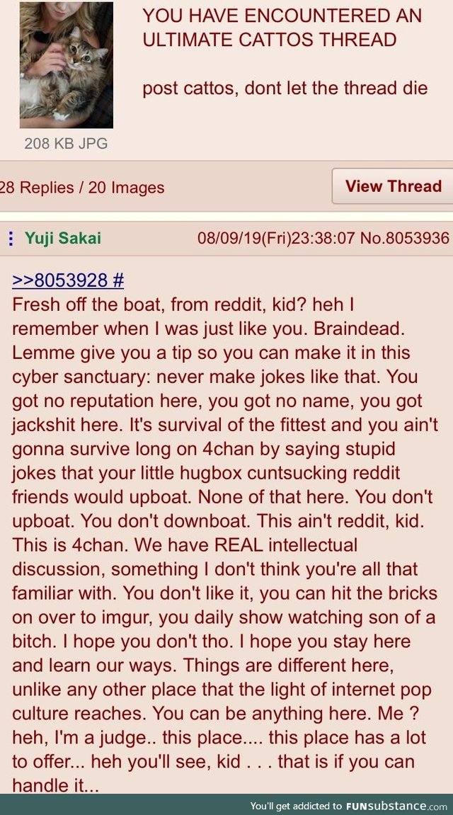 Anon tells  boy what’s what