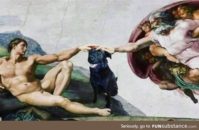 The creation of a good boy