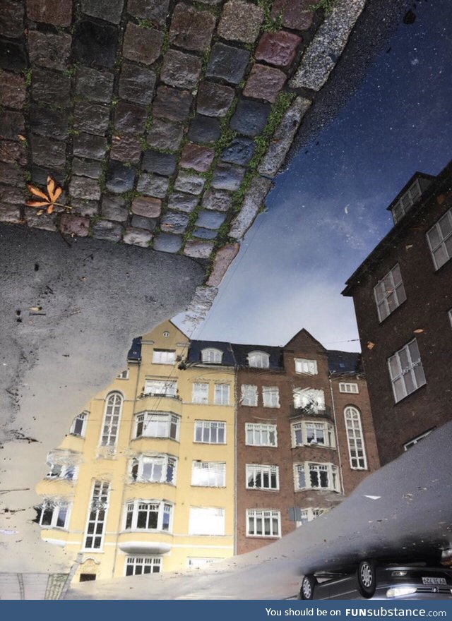 A picture of a puddle in Copenhagen