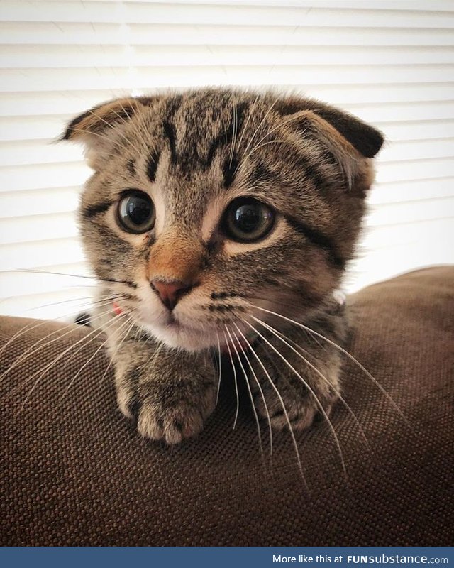 Watching mama eat. I used to be a real teeny weeny!