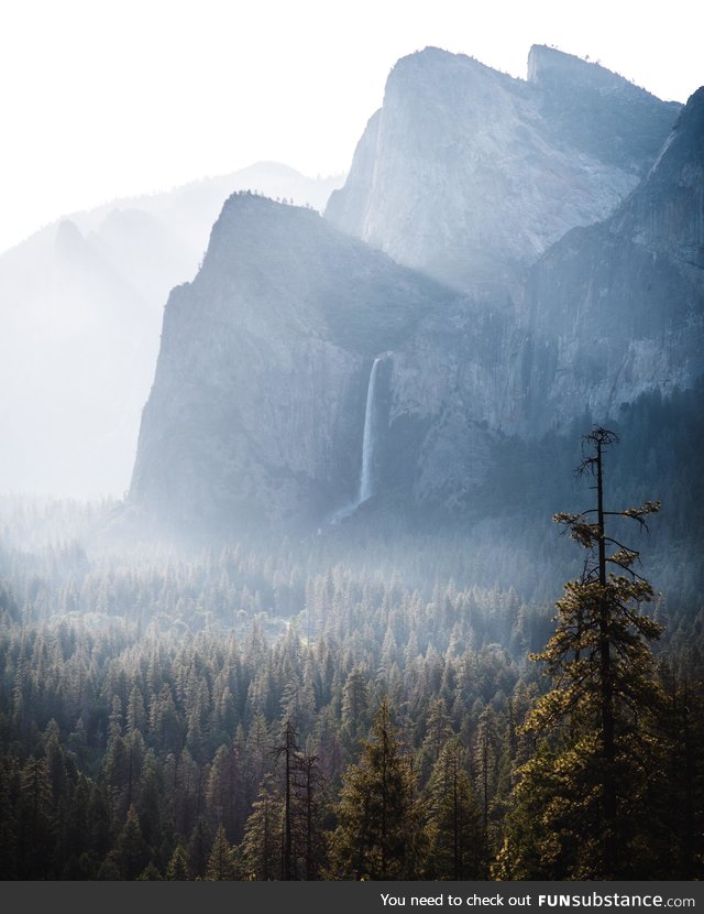 This morning in Yosemite