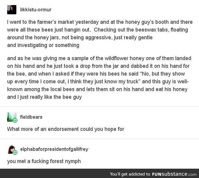 Bee guy