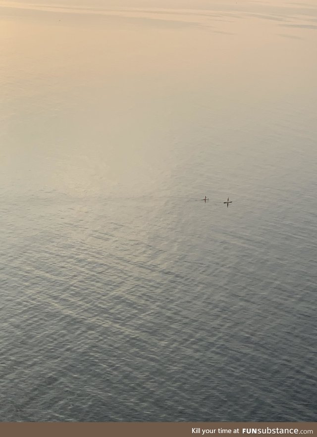 Just 2 people having a paddle