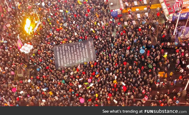 Pro-impeachment protesters march with Article II Section 4 banner