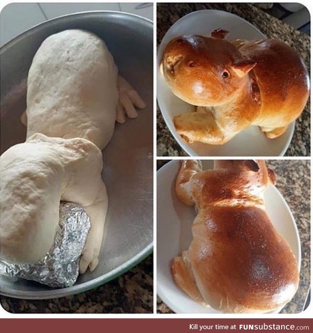 Homemade capybara