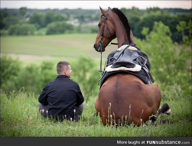 Shall we giddy up, partner?