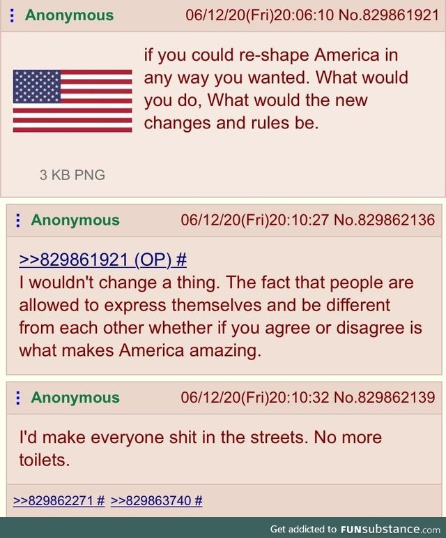 Anons have differing opinions on America