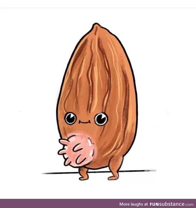 Where almond milk comes from