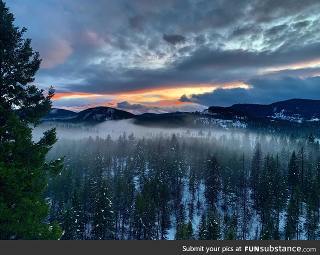 View from our cabin in Whitefish, Montana