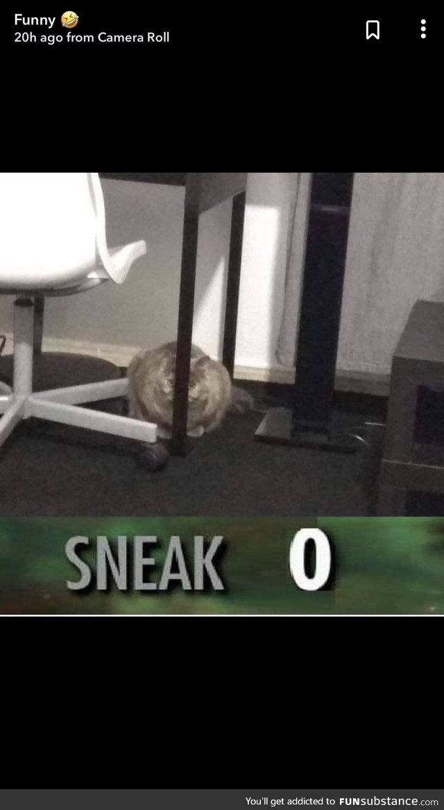 Sneak 0