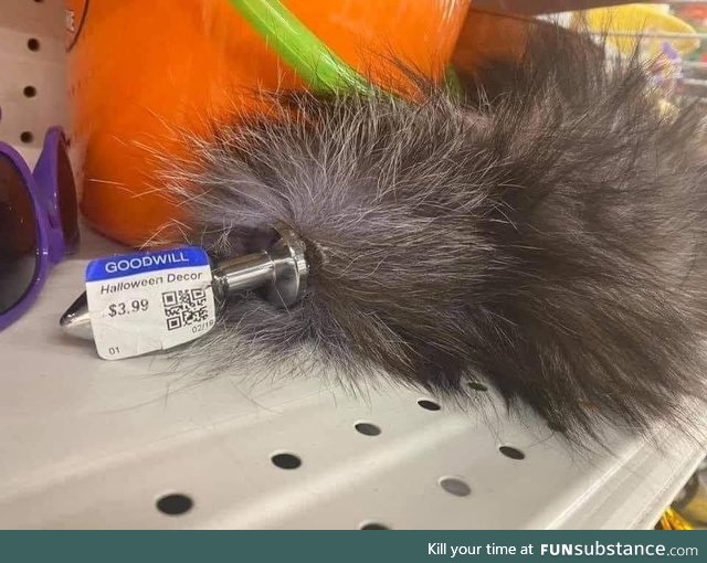 Cheap feather duster at Goodwill