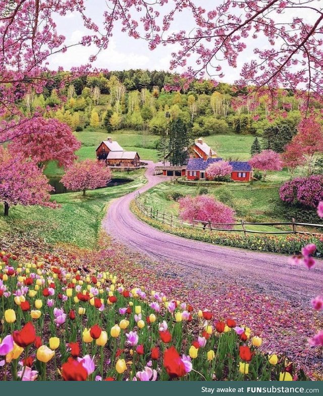 Spring time in Vermont