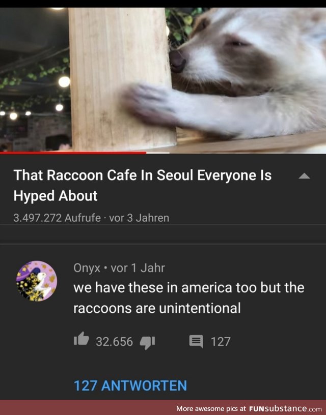 Trash panda cafes