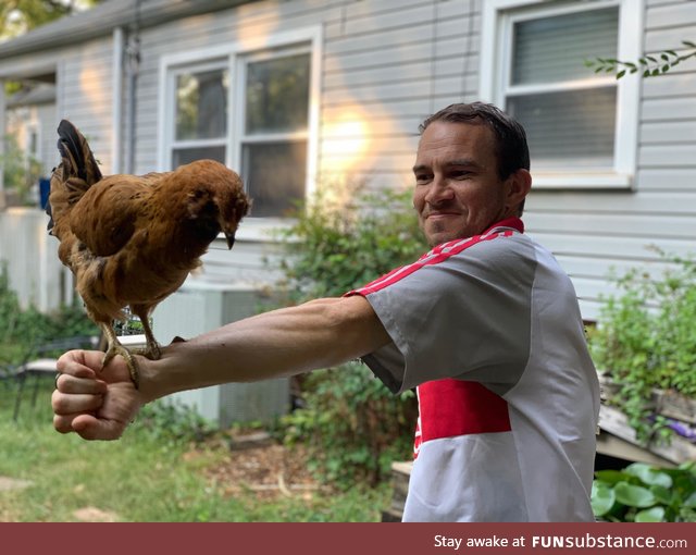 Finally getting into falconry