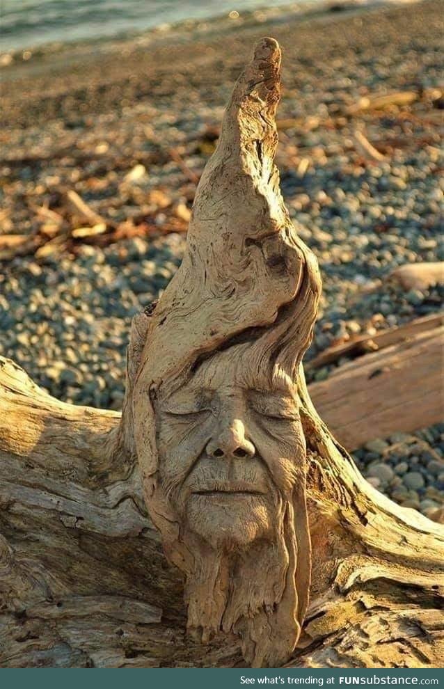 Old Mother